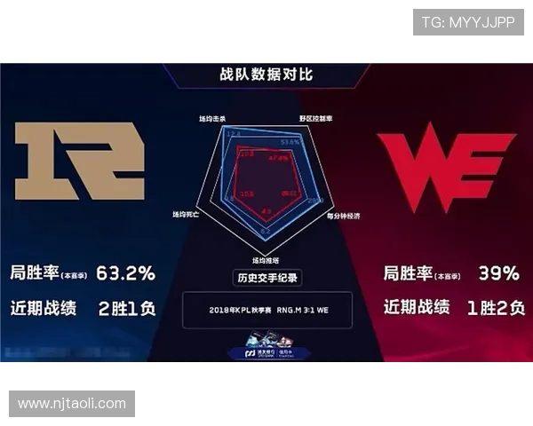 RNG战队比赛经验深度解析与王者荣耀策略探讨